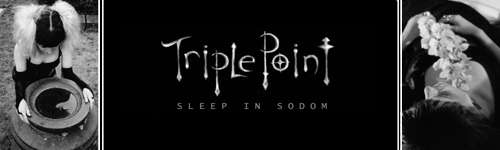 Triple Point