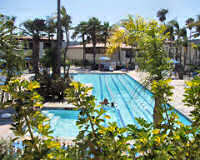 Shelter Pointe Hotel Main Pool