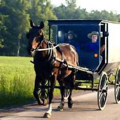 Horse & Carriage at Washington Park